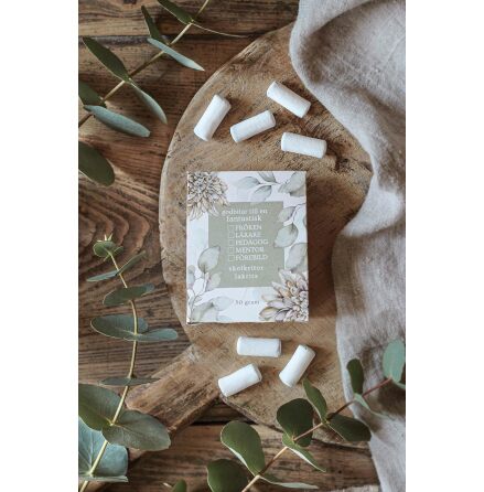 Majas Godsaker - Godbitar till en fantastisk fr�ken, l�rare...