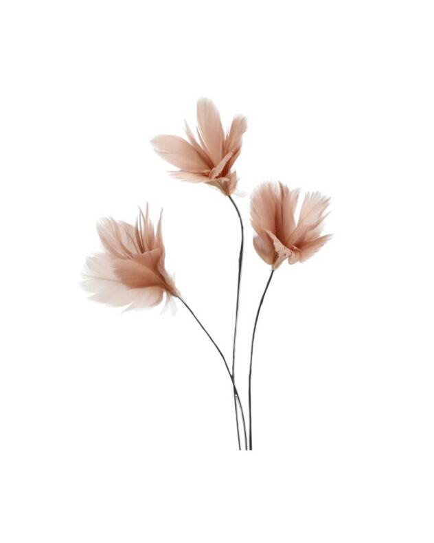 Fj�der Tr�dad Blom Mullvad