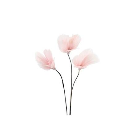 Fj�der Tr�dad Blom Ljusrosa