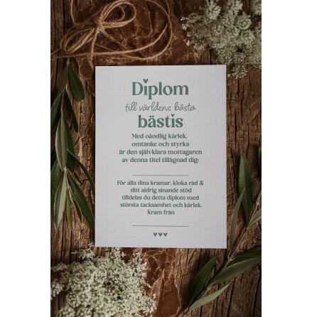 Majas Vykort Diplom till dig k�ra b�stis!
